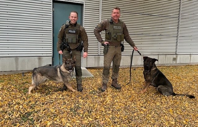 Photograph of Police Dog Service members Jason Goodfellow and Mike Richardson and their dogs Reiko and Dug