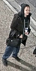 Photo of suspect number 2