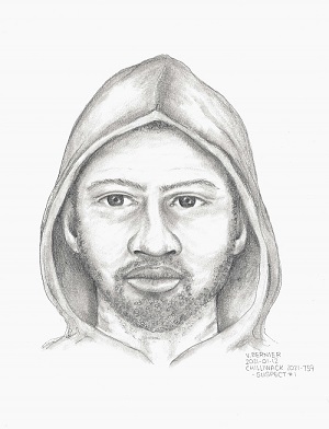 Composite drawing suspect 2.