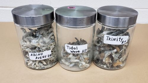 Mushroom products in jars with prices