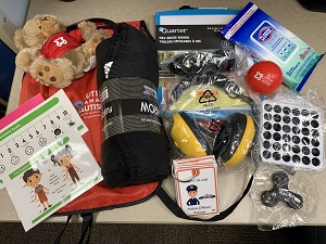 Contents of sensory support kits 