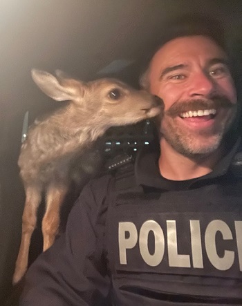 baby deer with its nose up to a police officer's cheek
