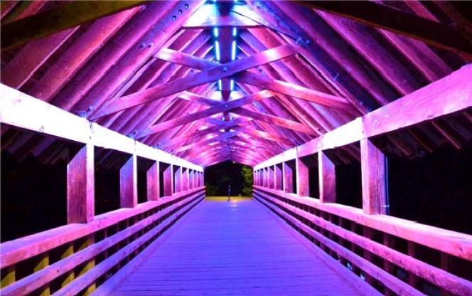 Fitzsimmons Bridge lit up with purple lights