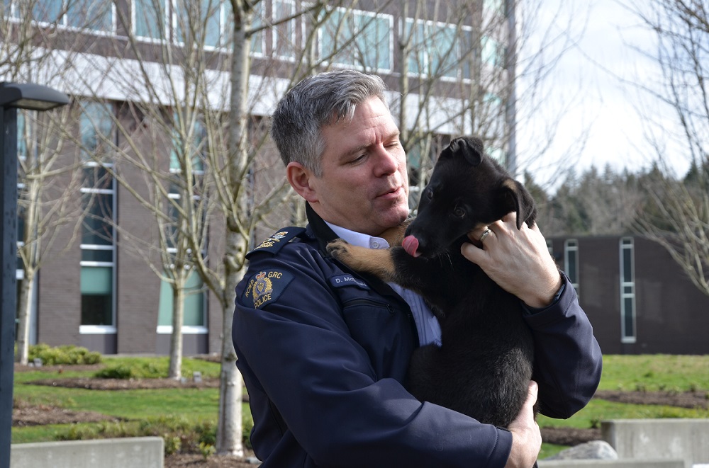Photo of Deputy Commissioner Dwayne McDonald with police dog puppy Rip