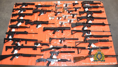 photo of seized guns