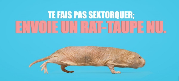 Agrandir l’image » Image « Envoie un rat-taupe nu 