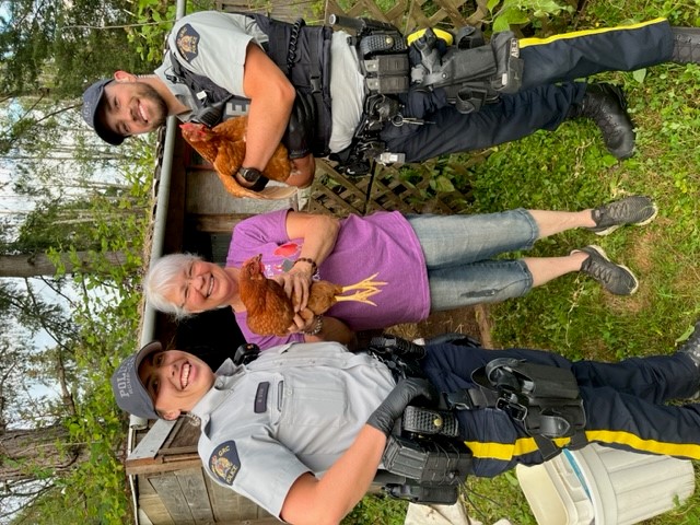 Two RCMP officers holding chickens