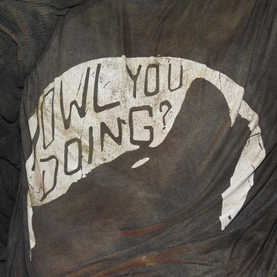 Photo de Photo de la silhouette de loup et de l’inscription « Howl you doing? »