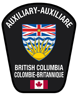 Auxiliary badge