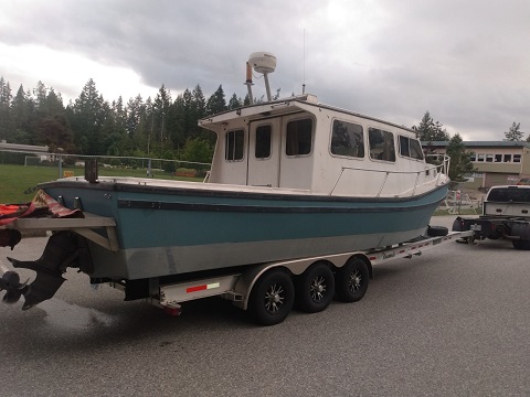 blue and white power boat