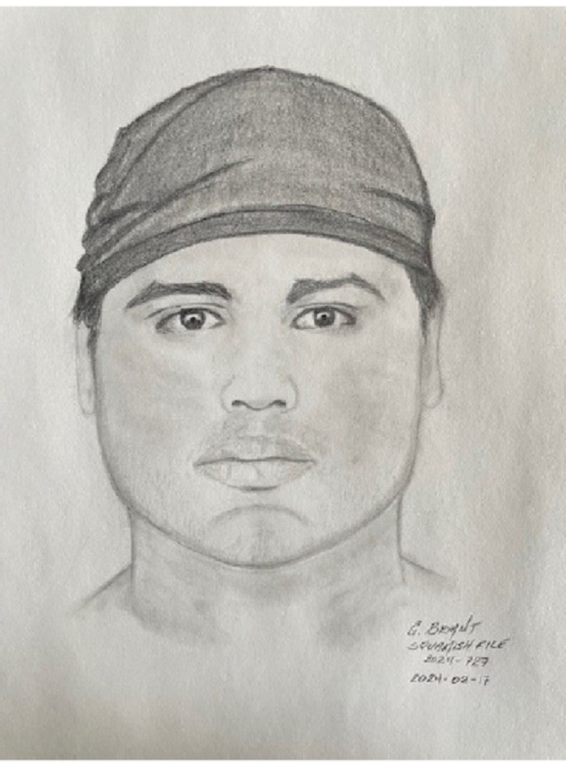 BC RCMP - Police Asking For Public’s Assistance In Identifying Assault ...